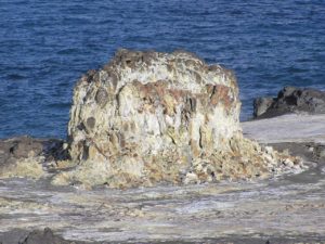 小笠原諸島＜硫黄島＞(14)