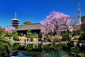 (あ)　浅草寺(18)