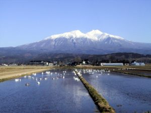 都道府県別ランキング